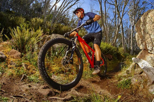 Best Mountain Bike Trails in Melbourne