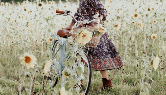 How to choose a Ladies Vintage bike