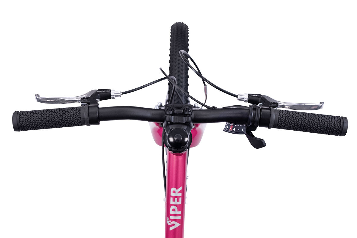 Pink fat online bike