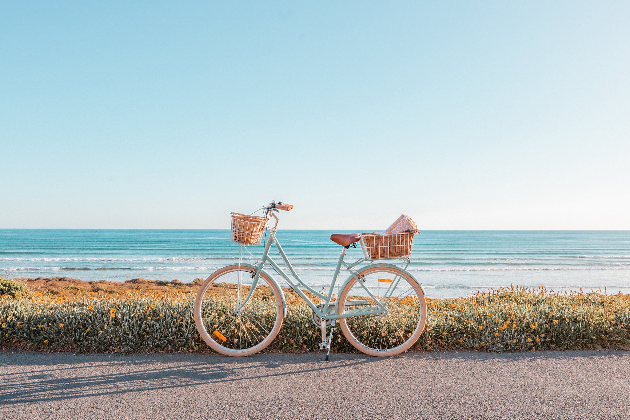 Ladies Deluxe Vintage Bike - Vintage Bikes - Reid Cycles