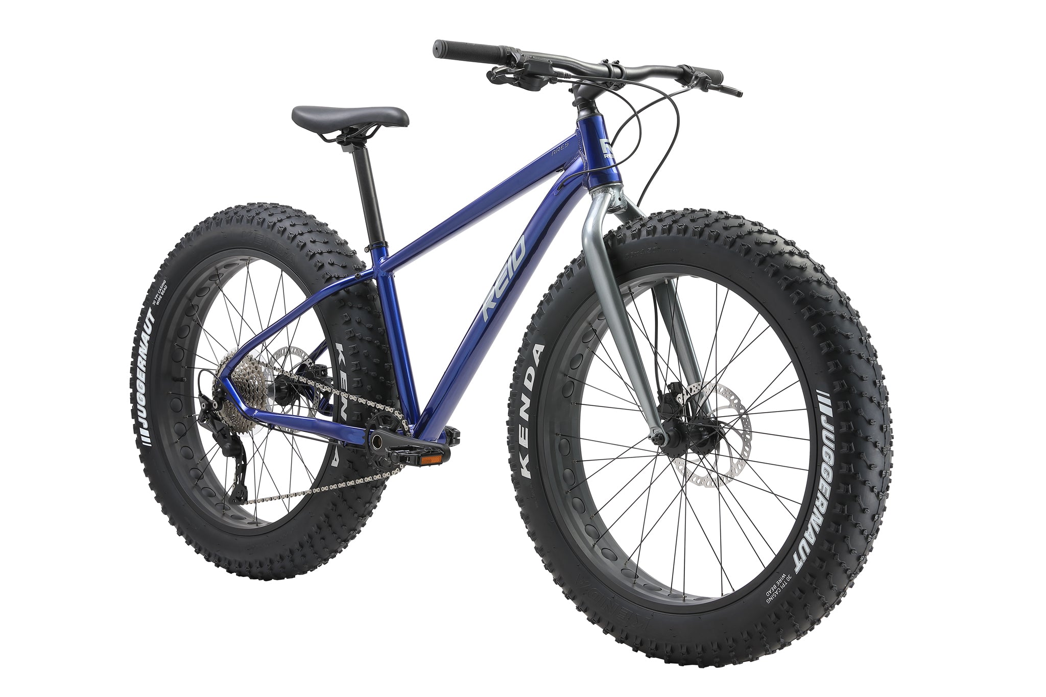 Blue 2025 fat bike