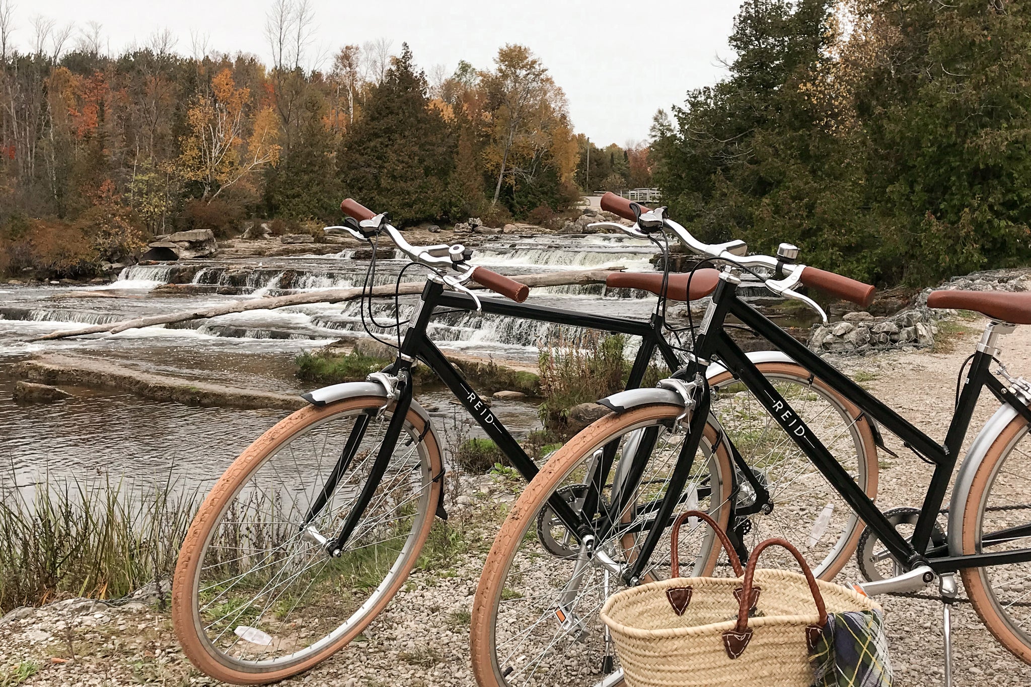 Vintage deals bike wheel